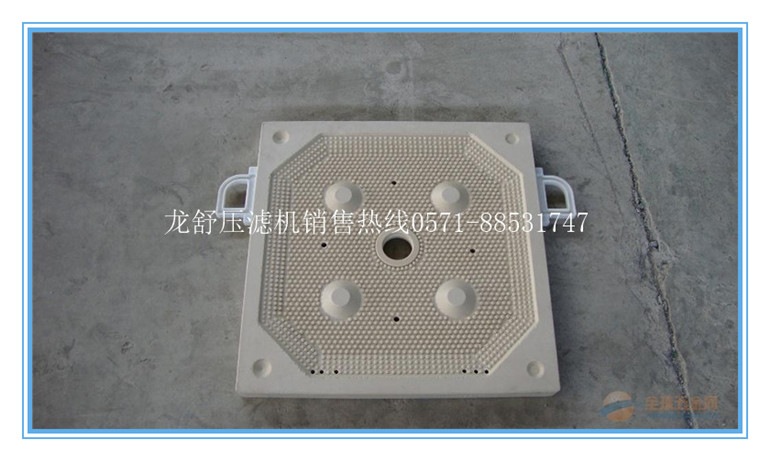 龙舒厢式板框式隔膜型滤板尺寸