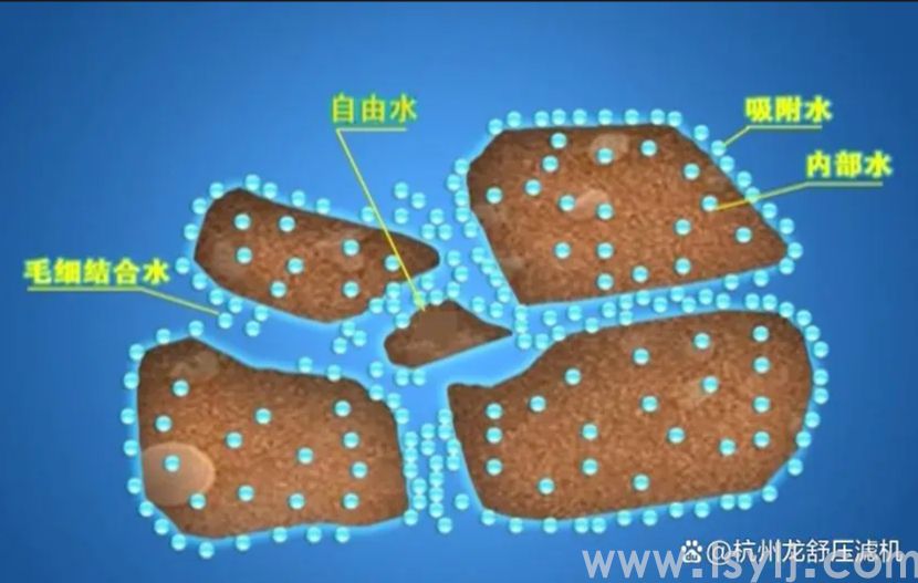 压滤机过滤工艺中常用的助滤剂分类及性能分析(图1) 2.png